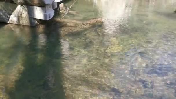 Kemerli Eski Nehir Köprüsü Güzel Atmosferik Bahar Manzarası Terk Edilmiş — Stok video