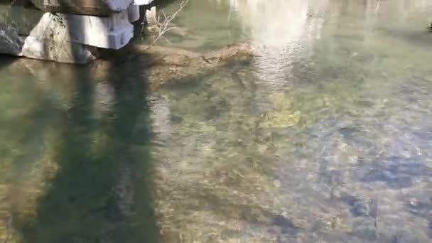 Puente Río Viejo Con Arcos Hermoso Paisaje Primavera Atmosférica Viaje — Vídeo de stock