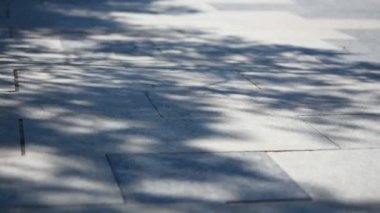 Gölge ağacı kaldırımı. Gri granit karoların üzerindeki gri ağaç taç gölgelerinin doğal soyut arkaplanı. Üst görüş, kavramsal doğa videosu. Tasarım için boş düzen. Parkın yakınındaki ara sokakta.