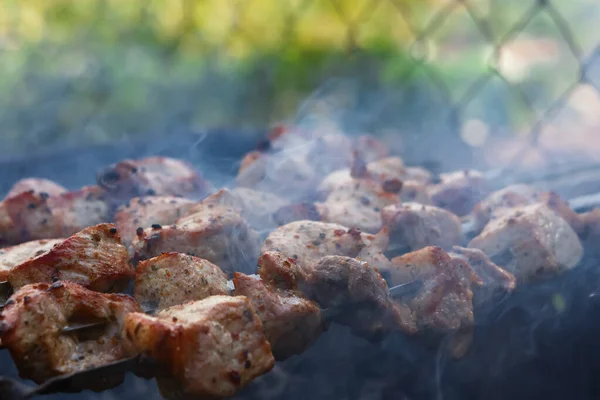 Shish Kebab Pincho Parrilla Delicioso Fondo Cerdo Asado Carne Res — Foto de Stock