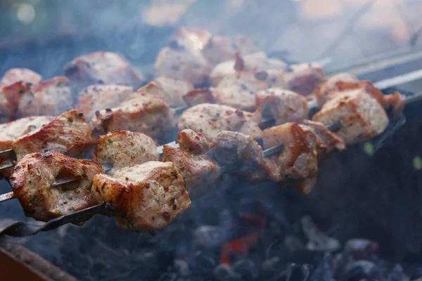 Shish Kebab skewer grill. Delicious background of roast pork, beef. The concept of summer outdoor recreation, picnic. Cooking meat on an open fire. Delicious crispy toasted barbecue. Atmospheric smoke