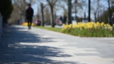 Parktaki insanların geçmişi bulanık. Parlak gün ışığında laleleri olan renkli çiçek tarhı. Yabancılar patika boyunca yavaşça yürür. Hafif bir esinti bahar çiçeklerini karıştırır. Sıcak gün, güzel hava..