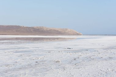 Koyash Pembe Gölü yazın Kırım 'da. İnanılmaz hassas pastel manzara. Rahatlama, sükunet ve huzur kavramı. Tasarım ve planlar için ışık nötr gölgelerdeki doğal arkaplan.