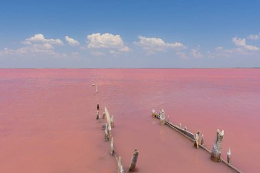 Kırım 'daki Pembe Tuz Gölü Sasyk-Sivash. Güzel bir peri masalı manzarası. Göl, bulutlar ve insanlarla dolu mavi bir gökyüzü. Tuz endüstrisi. Mineralli pembe tuz kozmetik işlemler için yararlıdır.