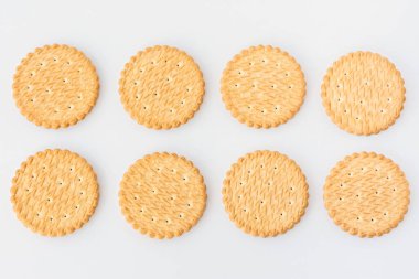 Yuvarlak çerez beyaz arka plan üst görünümü. İki sırada sekiz açık sarı kraker var. Metin için alanı olan bir yiyecek dokusu. Yaratıcı pişirme şablonu. Şekersiz buğday bisküvileri. Çıtır kahvaltı.