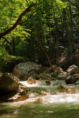 Dağ nehri yeşil ormanı. Yaz aylarında ormandaki serin ve sulu manzaralar. Doğal dikey arka plan. Büyük taşların üzerinden berrak bir su akıntısı akıyor. Yaz tazeliği kavramı