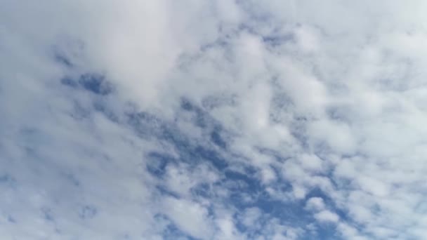 Nubes Blancas Cielo Azul Hermosas Nubes Cirros Aireados Ven Desde — Vídeo de stock