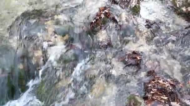 Río Montaña Furioso Primer Plano Agua Más Pura Fluye Por — Vídeos de Stock