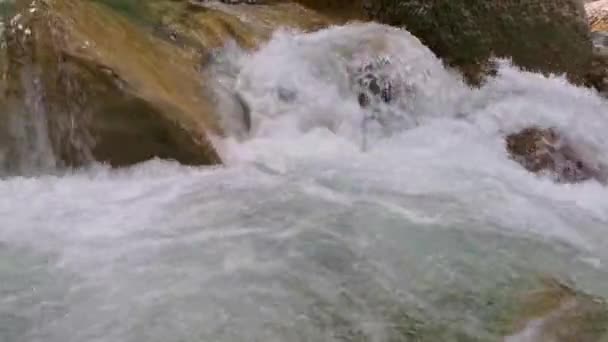 Yaz Mevsiminde Dağ Nehri Yeşil Ormanı Renkli Serin Serin Bir — Stok video