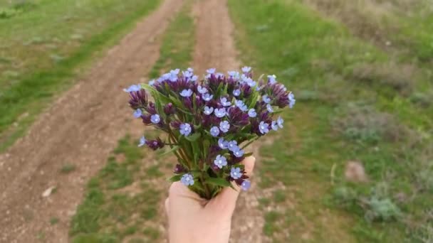 Mâinile Femeilor Țin Buchet Flori Sălbatice Apropiere Personaj Romantic Frumos — Videoclip de stoc