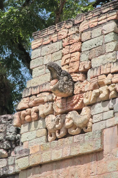 Copan, Honduras: ikonik Amerika papağanı şeklindeki taş işaretleyicisinde topu ga — Stok fotoğraf