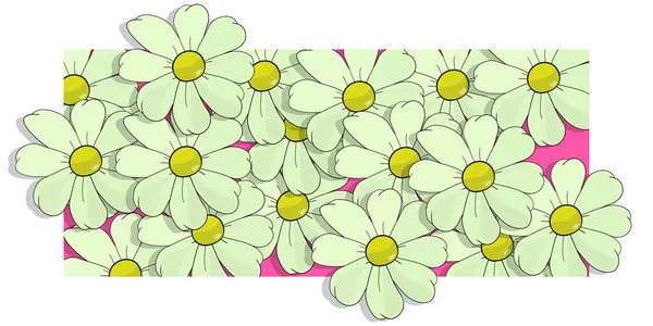 ホワイト デイジー ウォールペーパー ベリス ペレニスはデスクトップイメージを植えます リフレッシュカード 正と花の陽気なバナーは 生活の完全な 花のグループの描画 天然の質感の花びら — ストック写真
