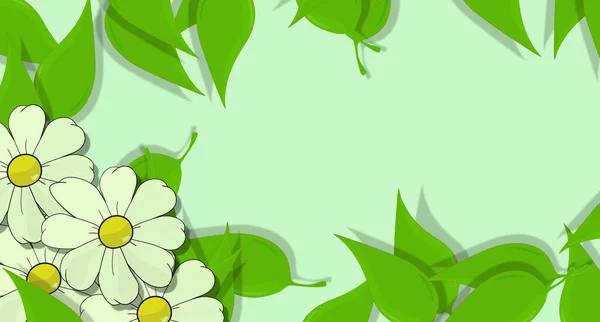 Tema Floreale White Daisy Green Leaves Wallpaper Disegno Fiori Bandiera — Foto Stock