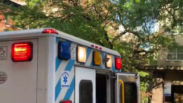 Unidade Emergência Ambulância Preto Azul Branco Primeiro Socorrista Com Luzes — Vídeo de Stock