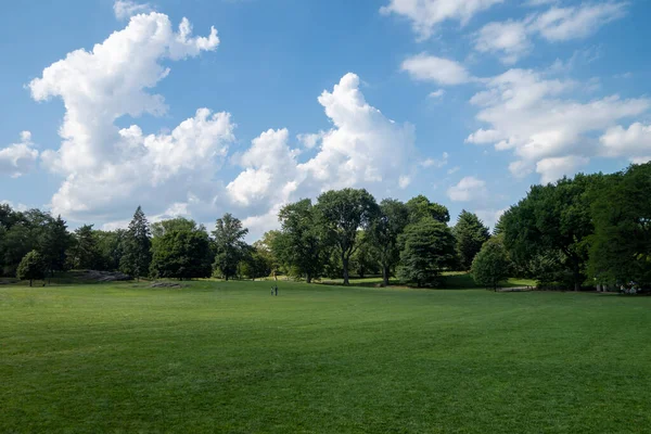 Parc Paysager Herbe Arbres Sur Beau Ciel Jour — Photo