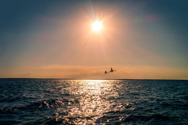 Два Силуети Літаючих Гусей Над Океанськими Водами Яскраве Сонце Небо — стокове фото