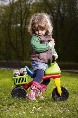 Küçük kız ile iki yaban gelinciği poz