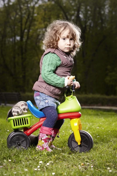 Bella ragazza con bambini furetto — Foto Stock