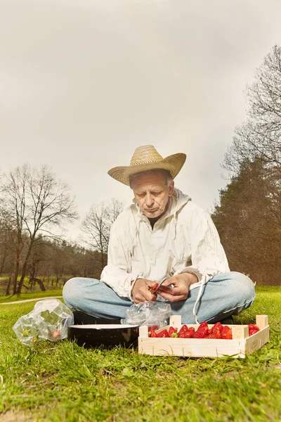 Kirli Beyaz Gömlekli Yaşlı Bir Adam Çilekli Meyve Yemeği Hazırlıyor — Stok fotoğraf