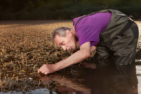 Water Quality Analyst Dressed Chest Wader Collecting Samples — Stok fotoğraf