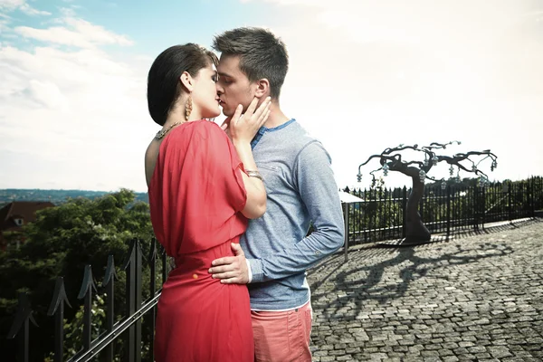 Besos mágicos en el jardín de verano — Foto de Stock