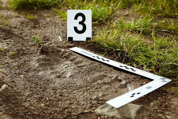 Схема обнаруженных следов взлома. Обнаружение следов ног. Способы фиксации следов ног. Измерительная масштабная фотосъемка в криминалистике. Обнаружение следов ног.