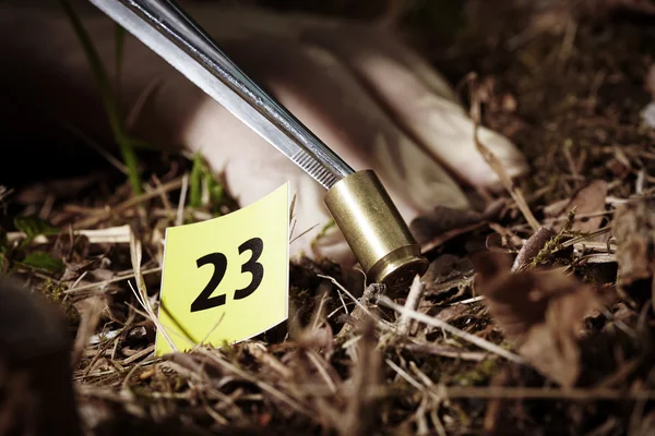 Çıkarma suç mahalli, pikap