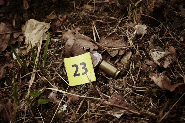 Cartucho de pistola en la escena del crimen — Foto de Stock