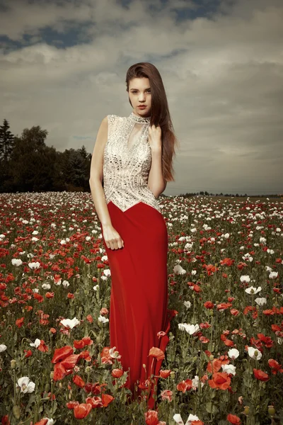 Morena belleza posando en el campo de verano — Foto de Stock