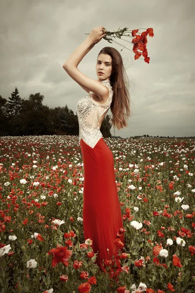 Yaz alanlardaki güzel kız