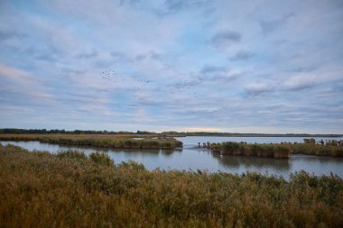 Macaristan 'ın kırsal kesiminde geniş turna grupları yakalandı