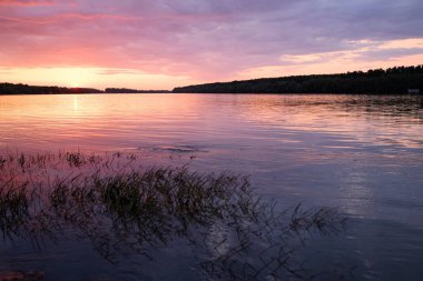 Tulcea yakınlarındaki Romanya 'nın güneydoğusundaki Tuna Nehri deltasında günün sonunda