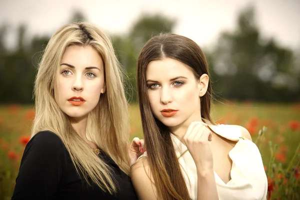 Nice couple of girls posing in field — Stock Photo, Image