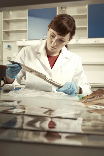 Criminilogist checking evidences — Stock Photo, Image