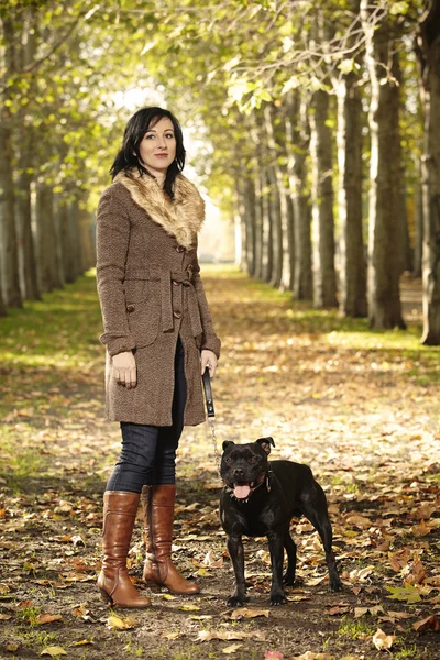 Süslü Leydi ve köpek arkadaşı sonbahar Park — Stok fotoğraf