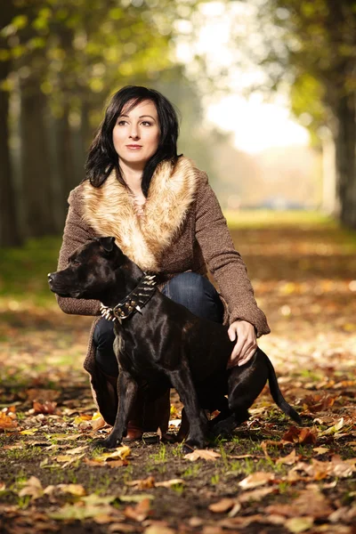 Güzel kadın ve köpek arkadaşı — Stok fotoğraf