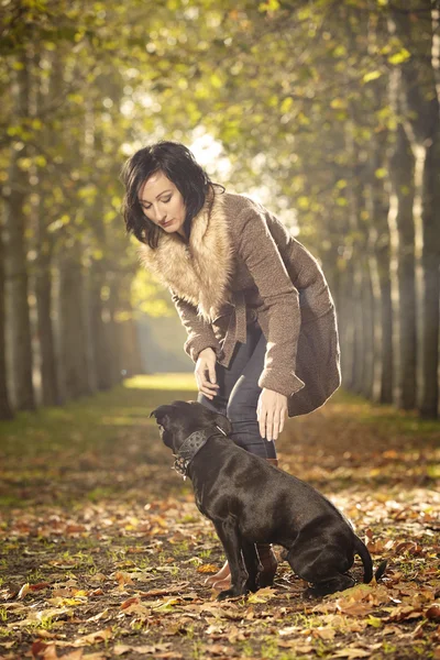 Bonita senhora e seu cão no parque — Fotografia de Stock