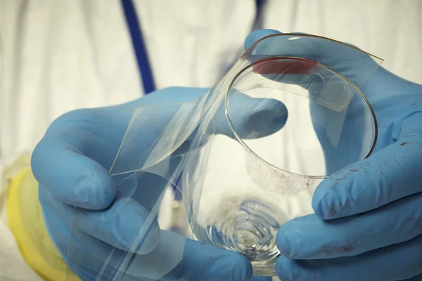 Hijs lipsprint op glas in criminologie lab — Stockfoto