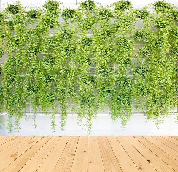 Vertikální zelených rostlin vzor v mnoha černý hrnec na dřevo podlahové bac — Stock fotografie