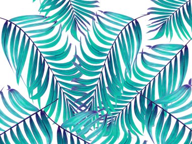 Beyaz arkaplanda yeşil palmiye yaprakları