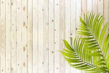 Yeşil palmiye ağacı ahşap duvar üzerinde bırakır.