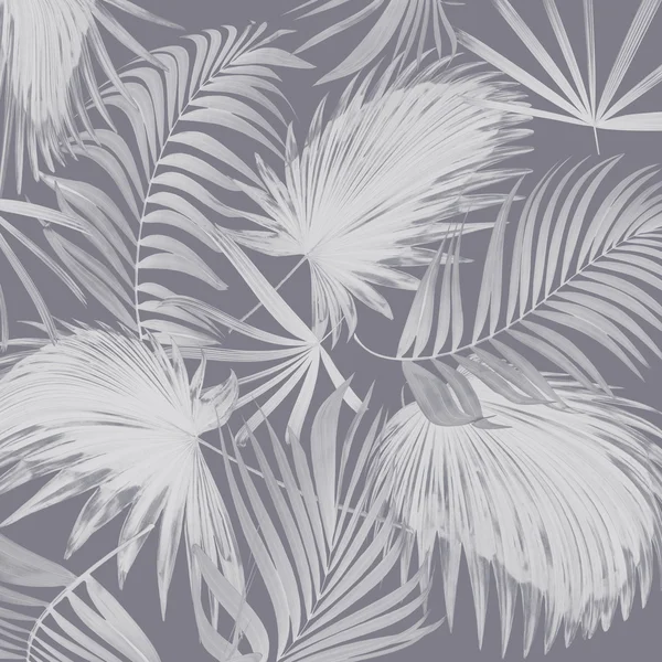 Listy palmy na bílém pozadí — Stock fotografie