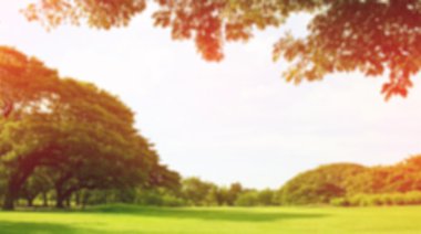 Bulanık park, doğal arka plan ile ışık patladı.