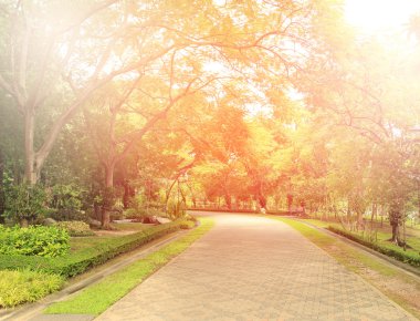 Yeşil Park 'taki taştan yol, parlak ışıklarla dolu.