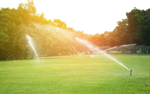 Irrigatore testa irrigazione l'erba in giardino con luce scoppiata — Foto Stock