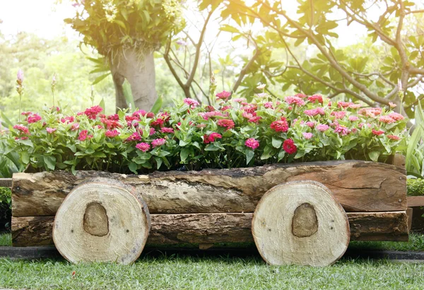 Квіти в горщиках в дерев'яній коробці на фоні саду — стокове фото