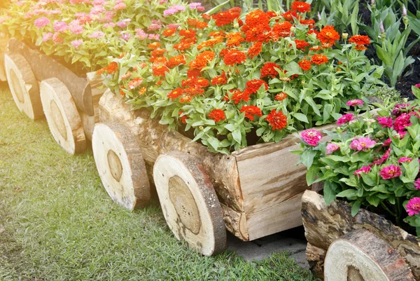 Квіти в горщиках в дерев'яній коробці на фоні саду — стокове фото