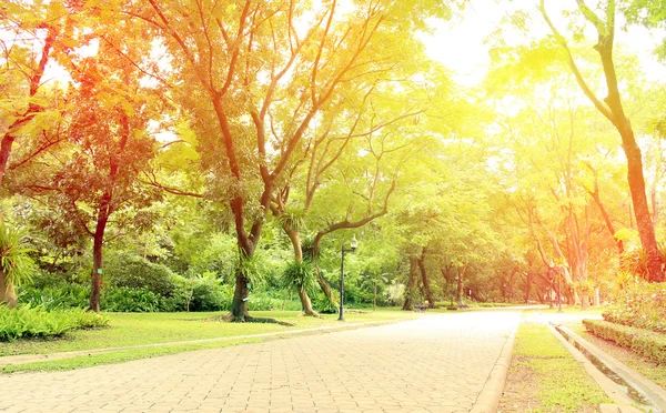 Chemin Pierre Dans Parc Vert Avec Lumière Éclatante — Photo