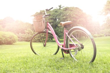 Vintage Bisiklet patlama ışık yeşil çimenlerin üzerinde