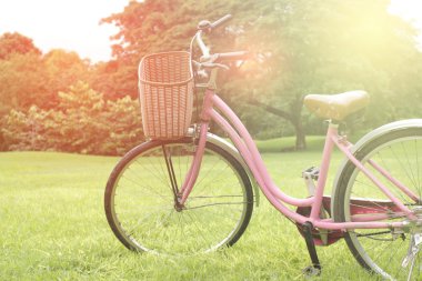 Parkta ışık patlamış bisikletler.